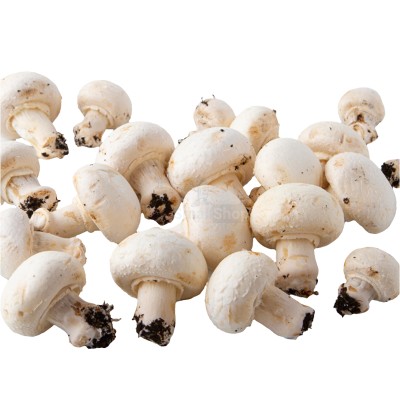 Шампиньоны свежие 500 г - купить в Сюмси